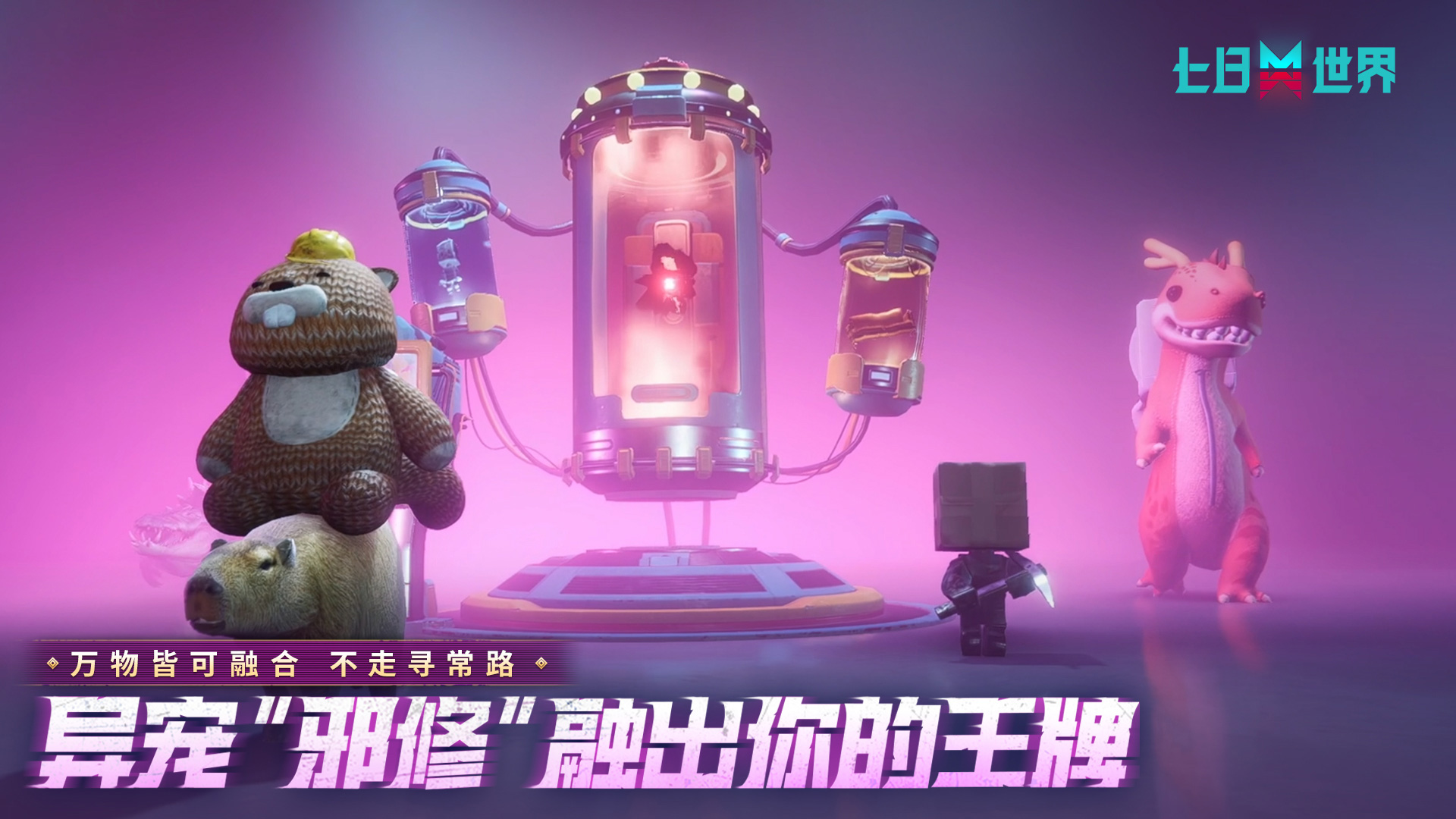 版本特色